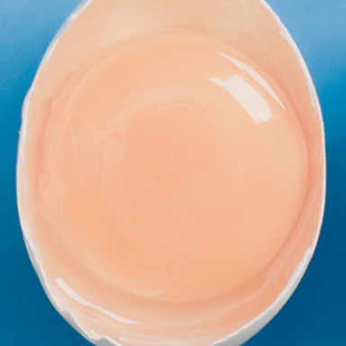 Pale Yolk