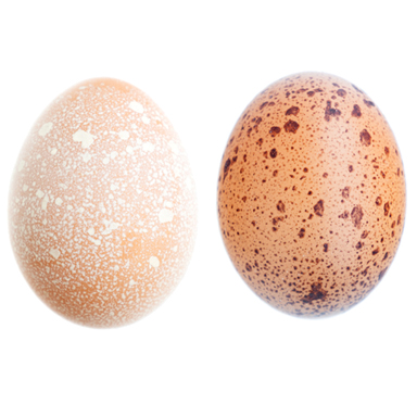 Speckled Egg