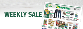 View our Weekly Flyer