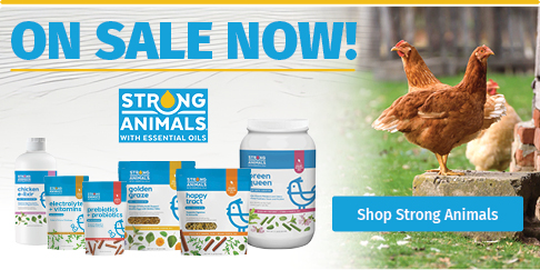 Backyard Chicken Care Strong Animals