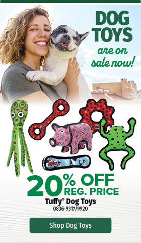 20% off Tuffy Dog Toys