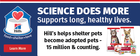 Science Diet Shelter Program