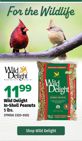 Wild Delight Inshell Peanuts 11.99