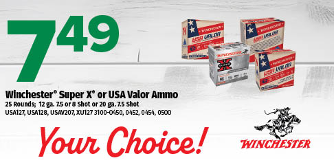 Winchester Super X or USA Valor Ammo Winchester Super X or USA Valor Ammo
