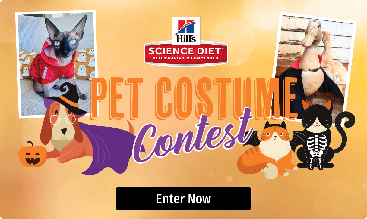 Science Diet Pet Costume Contest Science Diet Pet Costume Contest