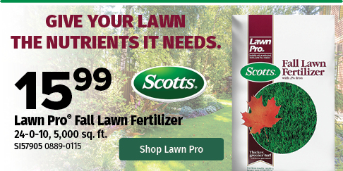 Fall Lawn Pro Fall Lawn Fertilizer Fall Lawn Pro Fall Lawn Fertilizer