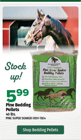 Pine Bedding Pellets 5.99