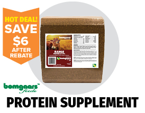 Bomgaars Feeds 37-19 Range Protein Supplement Bomgaars Feeds 37-19 Range Protein Supplement