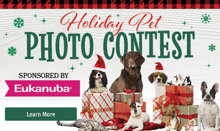 Holiday Pet Photo Contest Holiday Pet Photo Contest