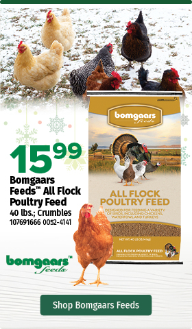 Bomgaars Feed All Flock $15.99