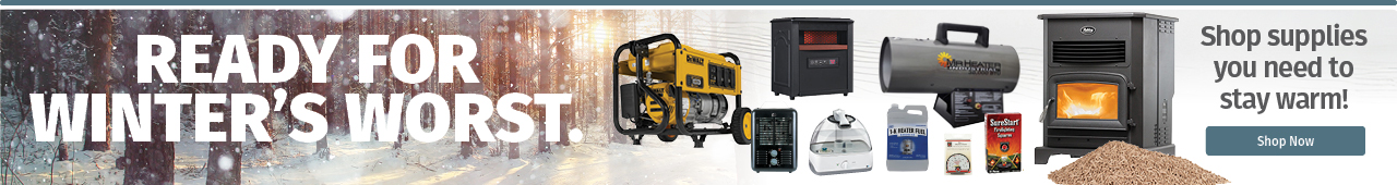 Fall and winter essentials