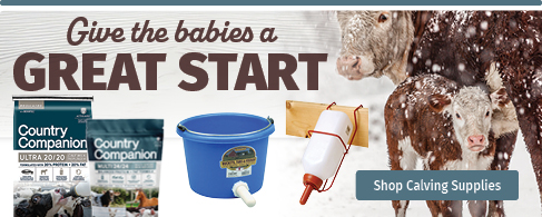 Calving Supplies