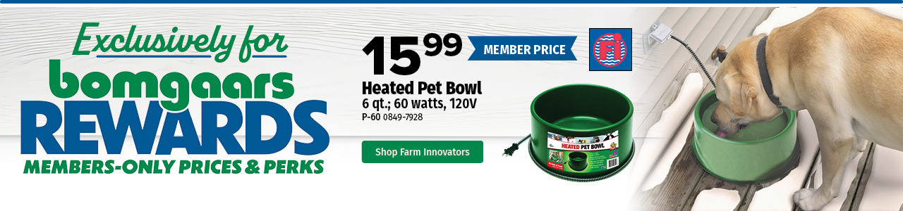 Bomgaars Rewards Heated Pet Bowl 15.99 Bomgaars Rewards Heated Pet Bowl 15.99