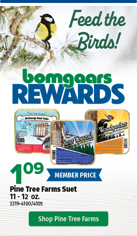 Pine Tree Farms Suet $1.09