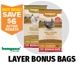 Bomgaars Feed Bonus Bag Layer Crumble and Layer Pellet