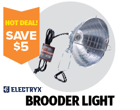 $6.99 Brooder Light
