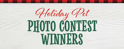 Holiday Pet Photo Contest Winners