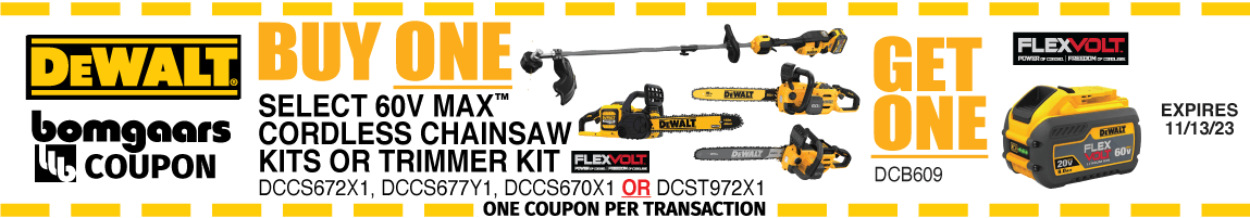 DeWalt Cordless Chainsaw / Battery