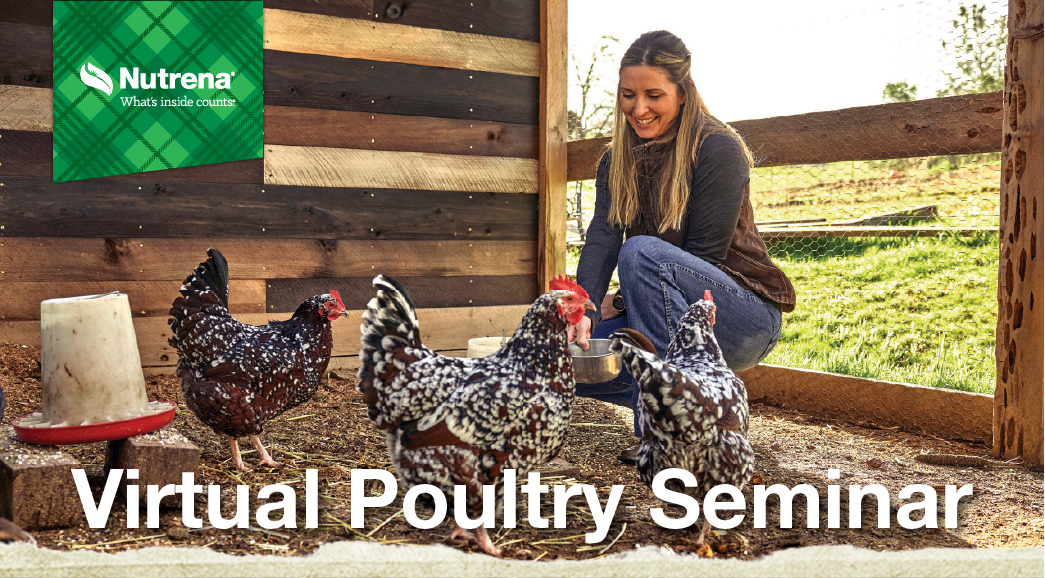 Virtual Poultry Event