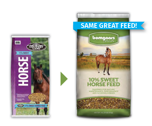 Bomgaars Feeds - 10% Sweet Feed