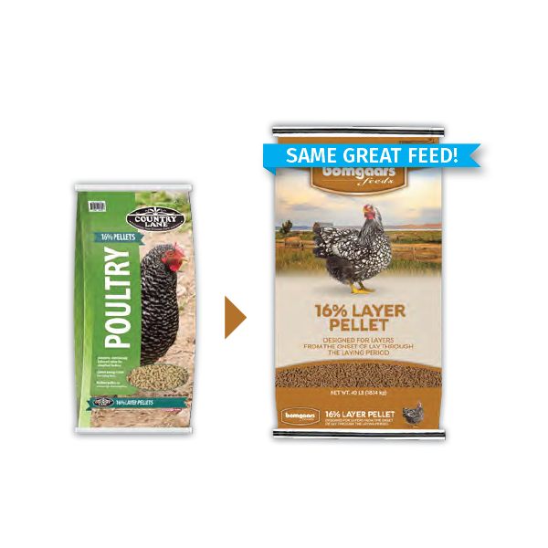 Bomgaars Feeds - 16% Layer Pellet