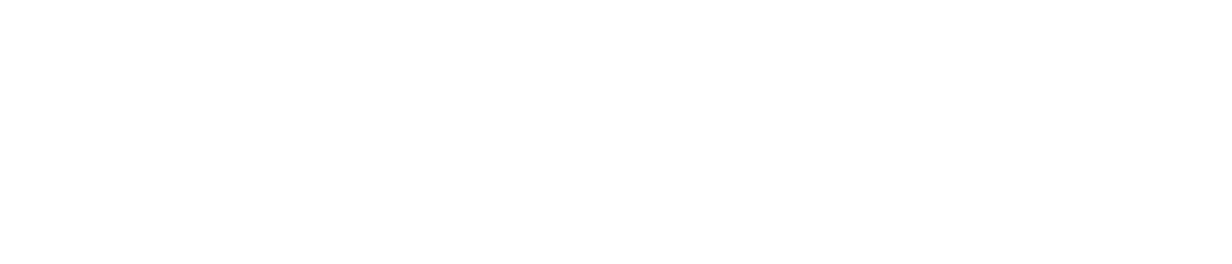 Primary Logo - WHITE